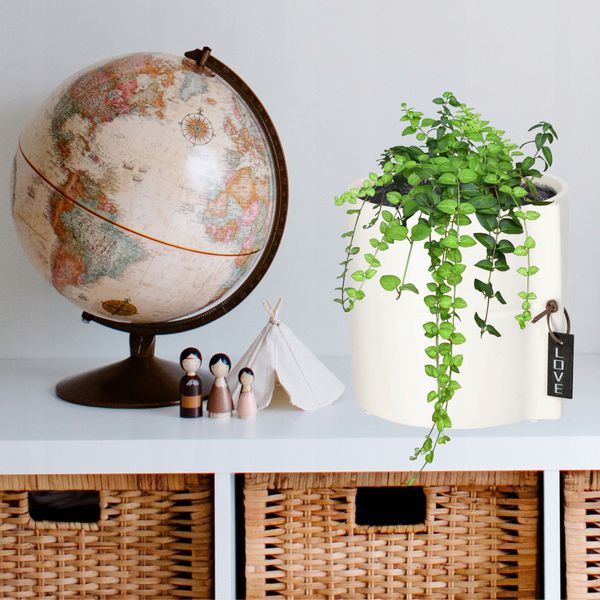 DONICZKA OSŁONKA DONICA CERAMICZNA KOLORY 13CM zdjęcie 6