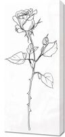 Obraz 40x90cm Kontur Róży