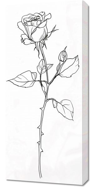 Obraz 40x90cm Kontur Róży zdjęcie 1