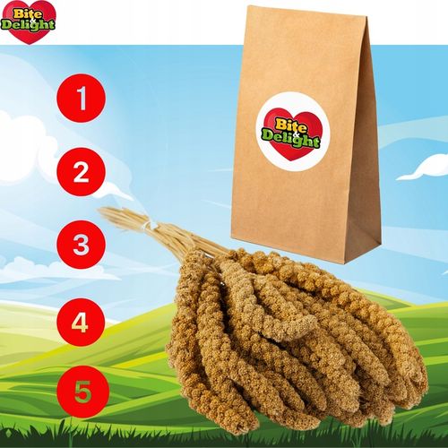 PROSO SENEGALSKIE BIAŁE 1KG CZYSTE DUŻE KŁOSY DLA PTAKÓW PAPUG ECO PACK na Arena.pl