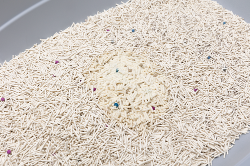 ŻWIREK TOFU z bentonitem zbrylający dla kota mix mleczny 2,5kg SNAPPY na Arena.pl