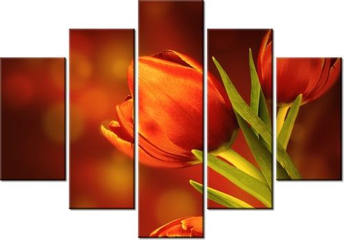 105CM 150CM OBRAZ 5 ELEM CZERWONE TULIPANY DRUK na Arena.pl