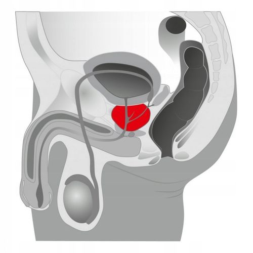 Masażer prostaty Joystick Prostata Booster, black na Arena.pl