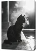 Obraz 60x90cm Kocia Przerwa