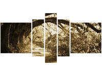 product-compare-58697796