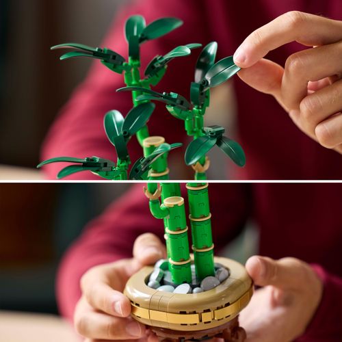 LEGO Botanicals 10344 Dracena sandera na Arena.pl