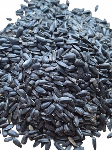 Słonecznik czarny 14 kg pokarm dla papug karma dla ptaków GRTIS kula tluszc na Arena.pl