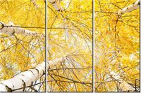 60 90CM OBRAZ 3 ELEM BRZOZA DRUK PŁÓTNO RAMA