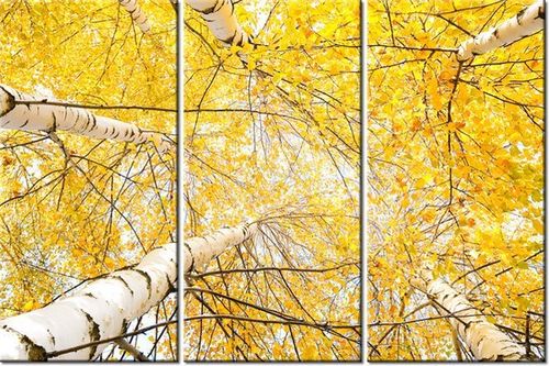 60 90CM OBRAZ 3 ELEM BRZOZA DRUK PŁÓTNO RAMA na Arena.pl