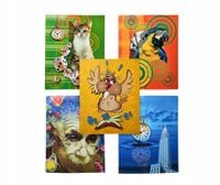 Delta Graphix Segregator A4