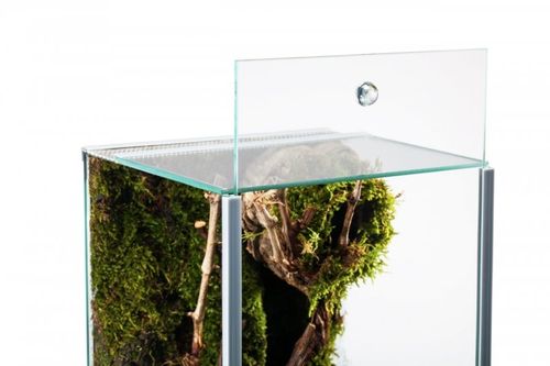 Diversa Nanoterrarium 20x20x30 cm na Arena.pl