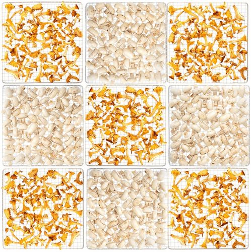 SUSZARKA SPOŻYWCZA DO GRZYBÓW OWOCÓW WARZYW ZIÓŁ TIMER LCD STALOWA 9 na Arena.pl