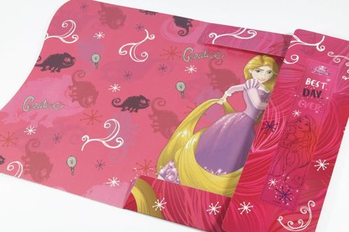 Princess A4 folder na Arena.pl