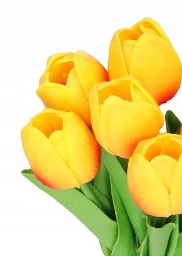 TULIPANY BUKIET TULIPANÓW GUMOWANE GUMOWE SILIKONOWE JAK ŻYWE na Arena.pl