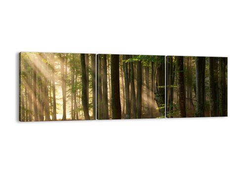 Obraz Na Płótnie - Las Drzewa Chrust  - 90X30 Cm - Ca90X30-3628 na Arena.pl
