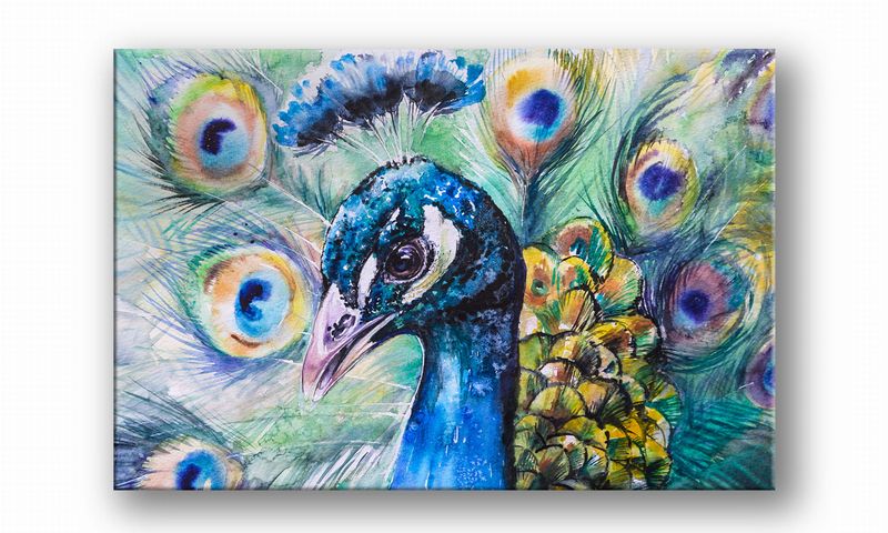 OBRAZ NA PŁÓTNIE 081 Paw 40x30cm zdjęcie 2
