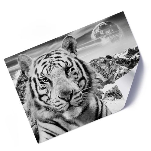 Plakat, Tygrys syberyjski 70x50 na Arena.pl