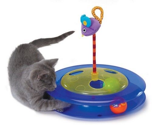 Petstages Kocia Gonitwa PS367 na Arena.pl