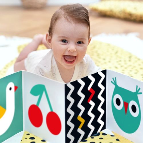 Starter Malucha - Co Widzę na Arena.pl