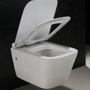 Misa WC Felix na Arena.pl