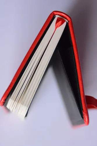 Salsa Skorwidz A5 Czerwony na Arena.pl