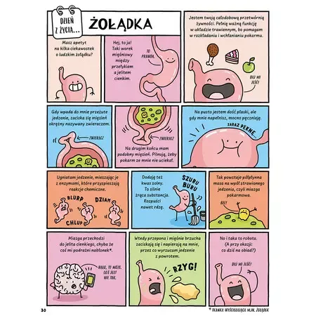 Dzień z życia skunksa, jelita i tego, kto to czyta na Arena.pl