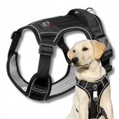 SZELKI GUARD BEZUCISKOWE dla DUŻEGO psa BOSTON XL BLACK