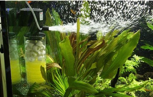 Sea Star Turbo Filter Plus 1800 na Arena.pl