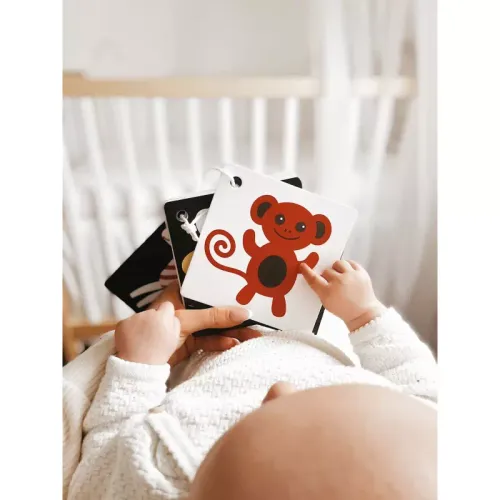 Karty kontrastowe malucha. 3+ miesięcy na Arena.pl