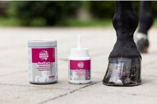 Smar do kopyt MAGIC BRUSH HoofCare yellow 1000ml na Arena.pl