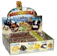 Nestor Bombonierka Egzotyczna Dla Gryzoni I Królików