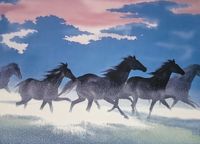 product-compare-59395717