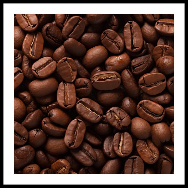 Plakat 70x70cm Esencja Aromatu zdjęcie 3