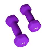 hantelka 1 kg X-sport- fioletowy 2 szt.