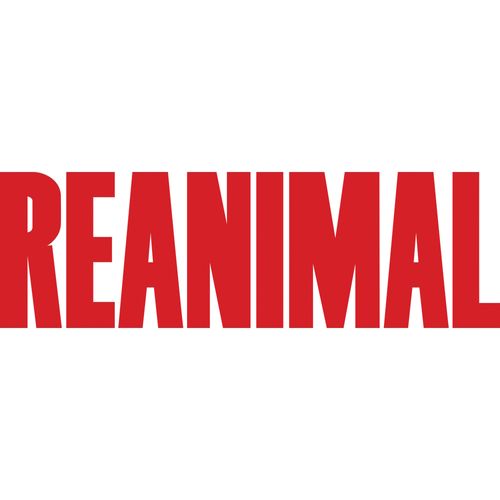Gra PS5 PLAION REANIMAL na Arena.pl