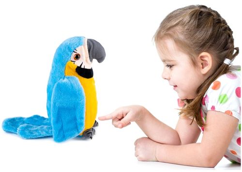 PAPUGA GADAJĄCA POWTARZA TAŃCZY MÓWI MÓWIĄCA Miś GADAJĄCA MASKOTKA na Arena.pl