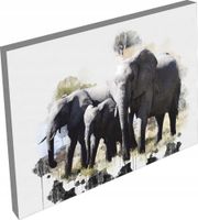 product-compare-62144912