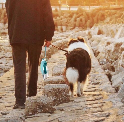 Butelka miska LIŚĆ POIDŁO dla Psa 500ml U008 na Arena.pl