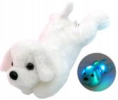 PIESEK ŚWIECĄCY MIŁY LED MASKOTKA ŚWIECĄCA 35CM