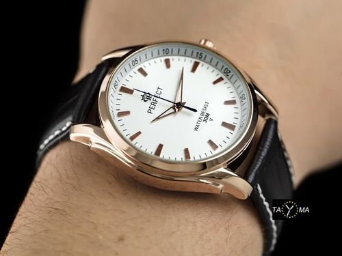 PERFECT A239 (zp182a) na Arena.pl