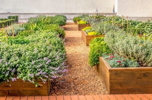 BIOHUMUS NAWÓZ DO WARZYW OWOCÓW ROŚLIN ORGANICZNY PŁYNNY HUMUS 5L na Arena.pl