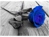 50X70CM CHABROWA RÓŻYCZKA OBRAZ POKOJU DREWNINE