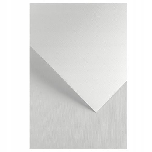 Karton Ozdobny Płótno Biały (20) 240G na Arena.pl