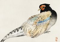 Plakat 84,1x59,4cm Peregrine Falcon, Kōno Bairei Japoński Vintage do Salonu