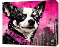 product-compare-59487904