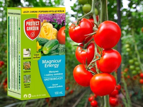 MAGNICUR ENERGY Previcur 840 SL Grzybobójczy 100ml na Arena.pl