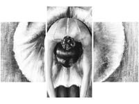 90X60CM OBRAZ BALETNICA CZERNI BIELI