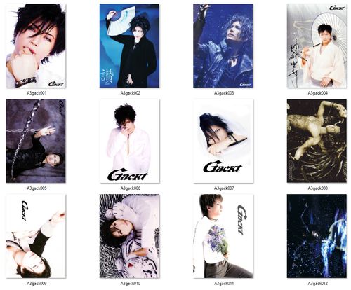 Plakat A3 Gackt DO WYBORU na Arena.pl