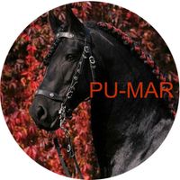 Opłatek na tort KONIE Koń Mustang Konik Kuc Urodziny Tekst Gratis