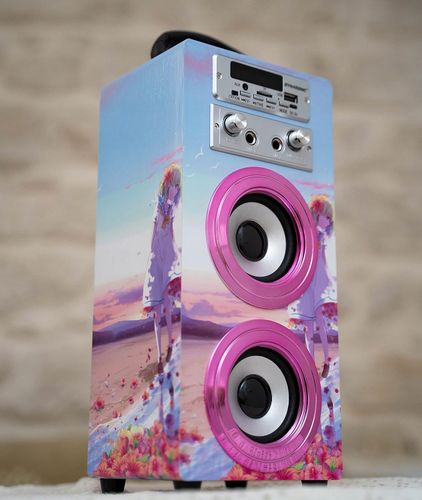 Głośnik przenośny Dynasonic E-025 Bluetooth USB AUX FM + 2x Mikrofon HIT ! na Arena.pl